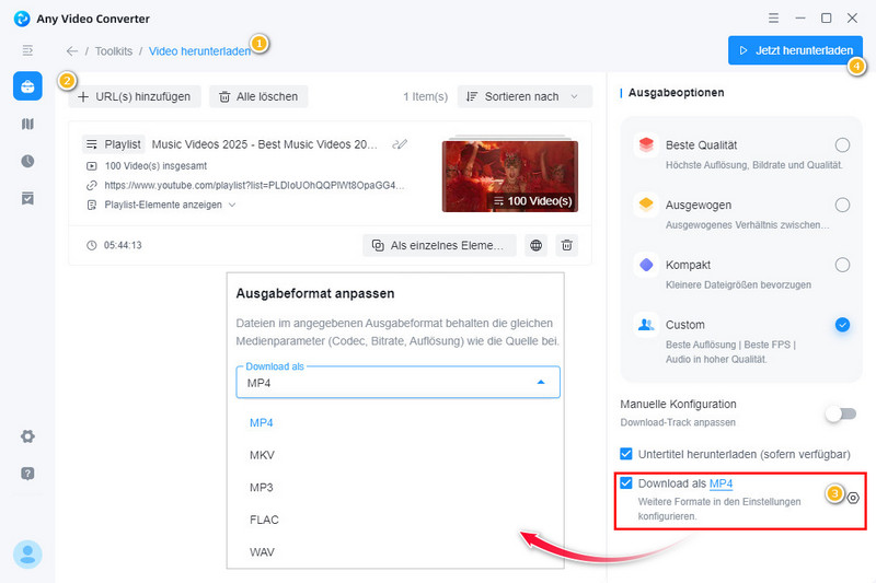 YouTube Playlis Download mit Any Video Converter