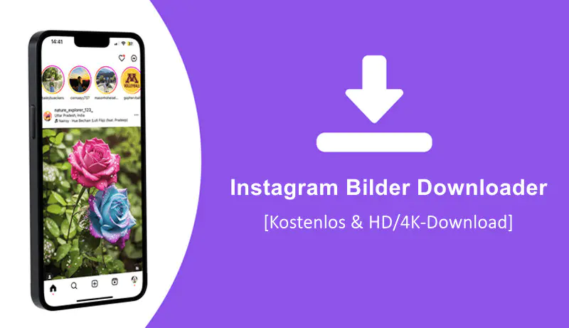 Instagram Bilder Downloader